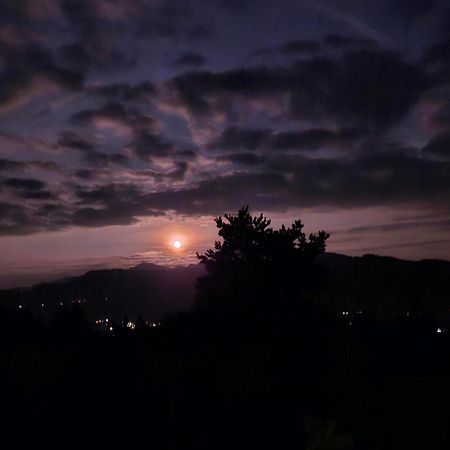 Appartamento Stockreutehof Sulzberg  Esterno foto