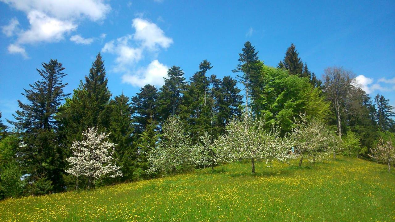 Appartamento Stockreutehof Sulzberg  Esterno foto