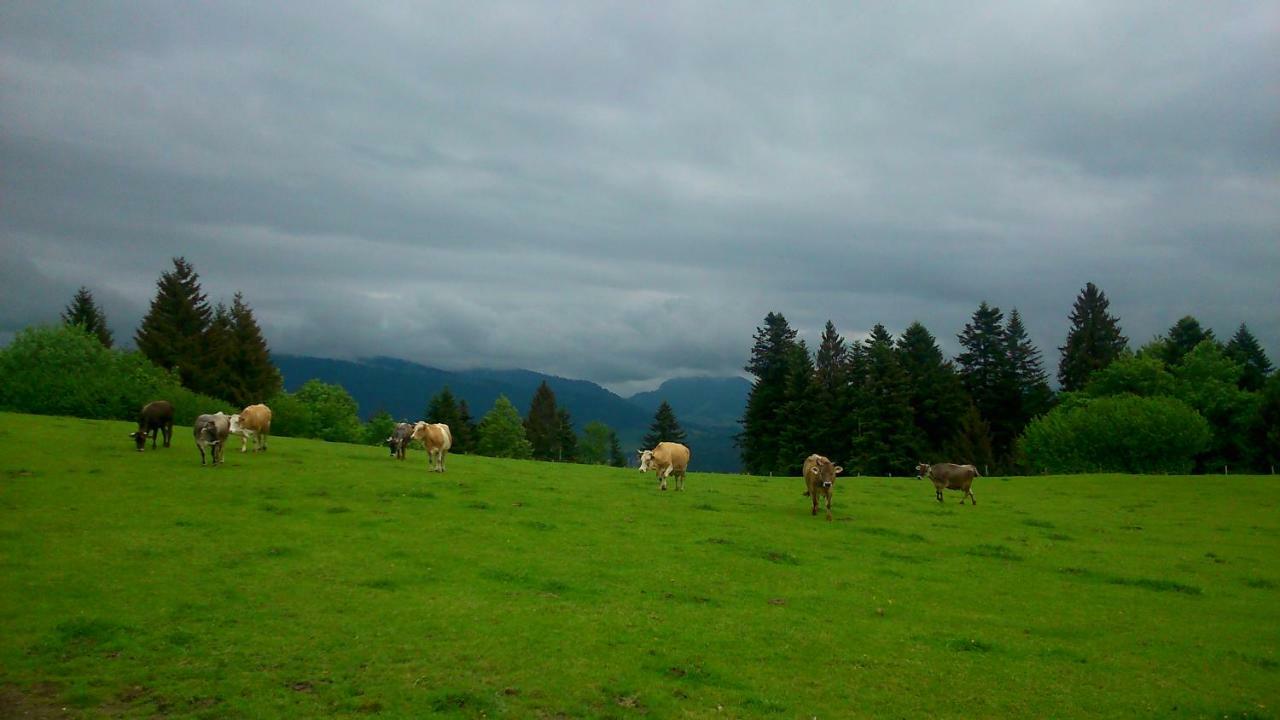 Appartamento Stockreutehof Sulzberg  Esterno foto