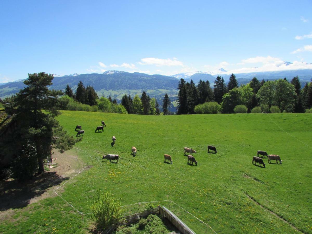 Appartamento Stockreutehof Sulzberg  Esterno foto